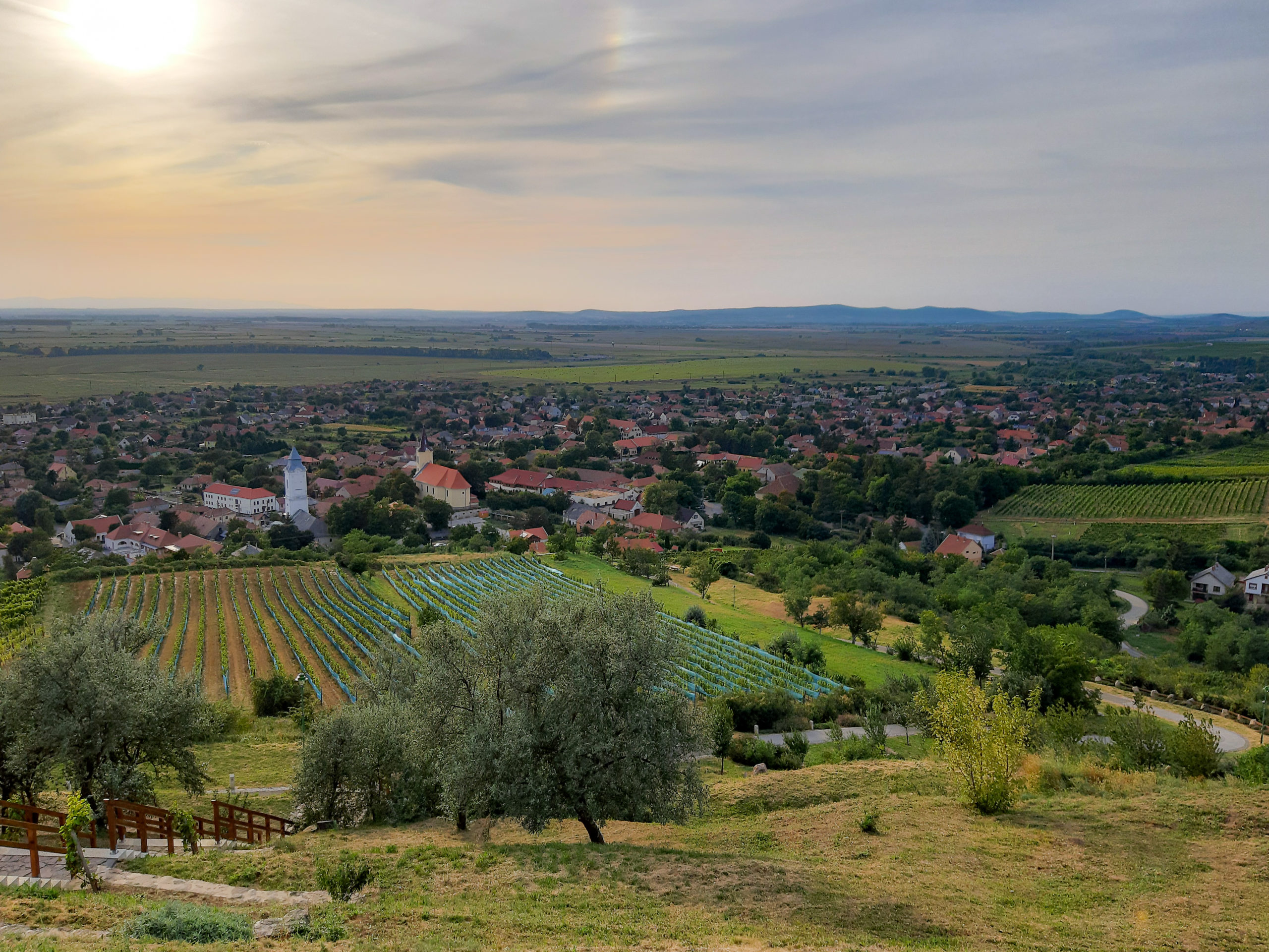 Widok ze wzgórza na miejscowość Tarcal w okolicach Tokaju. 