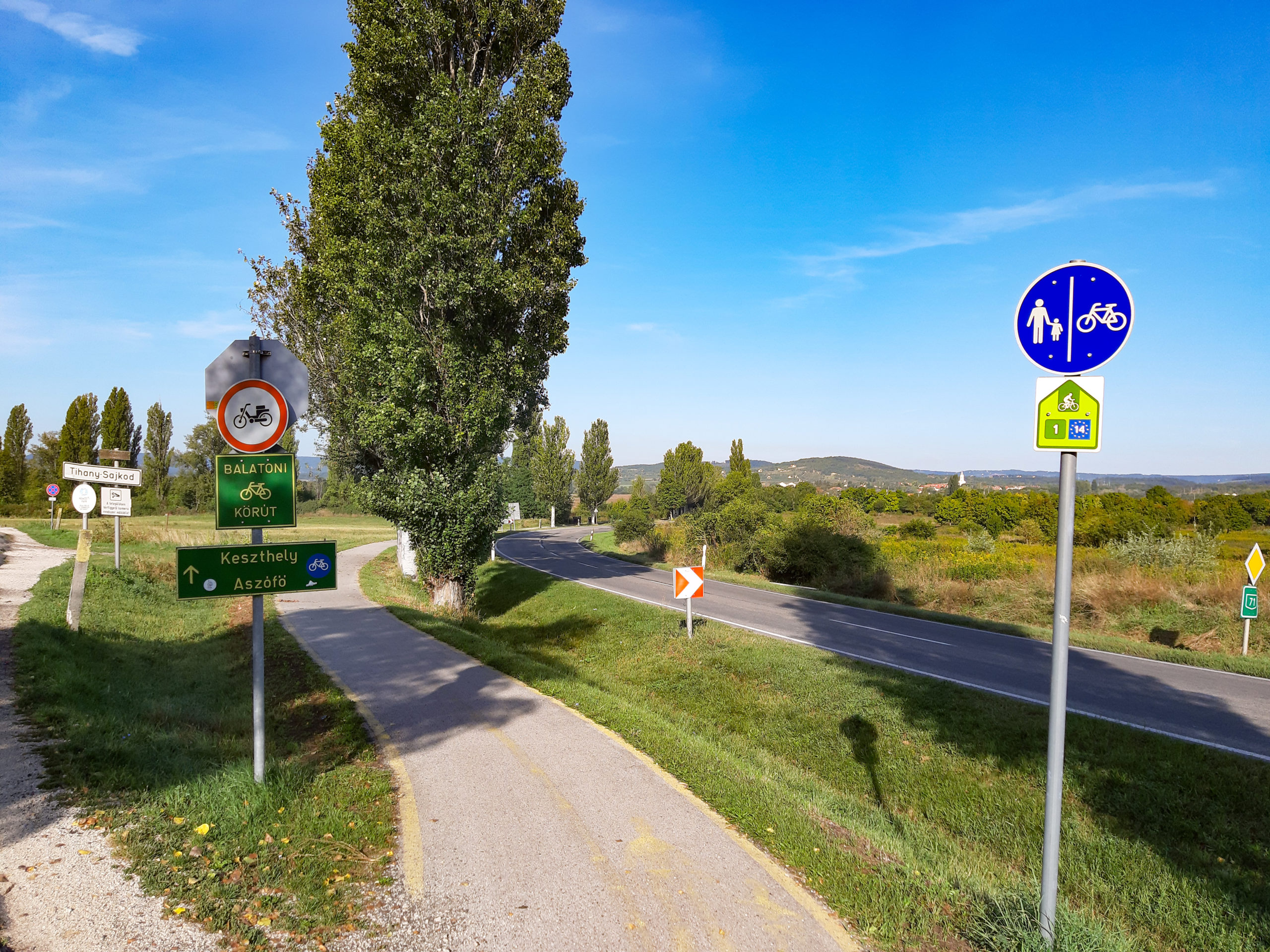 Widok na ścieżkę rowerową poprowadzoną obok drogi głównej. Ścieżka jest szeroka, o asfaltowej nawierzchni.