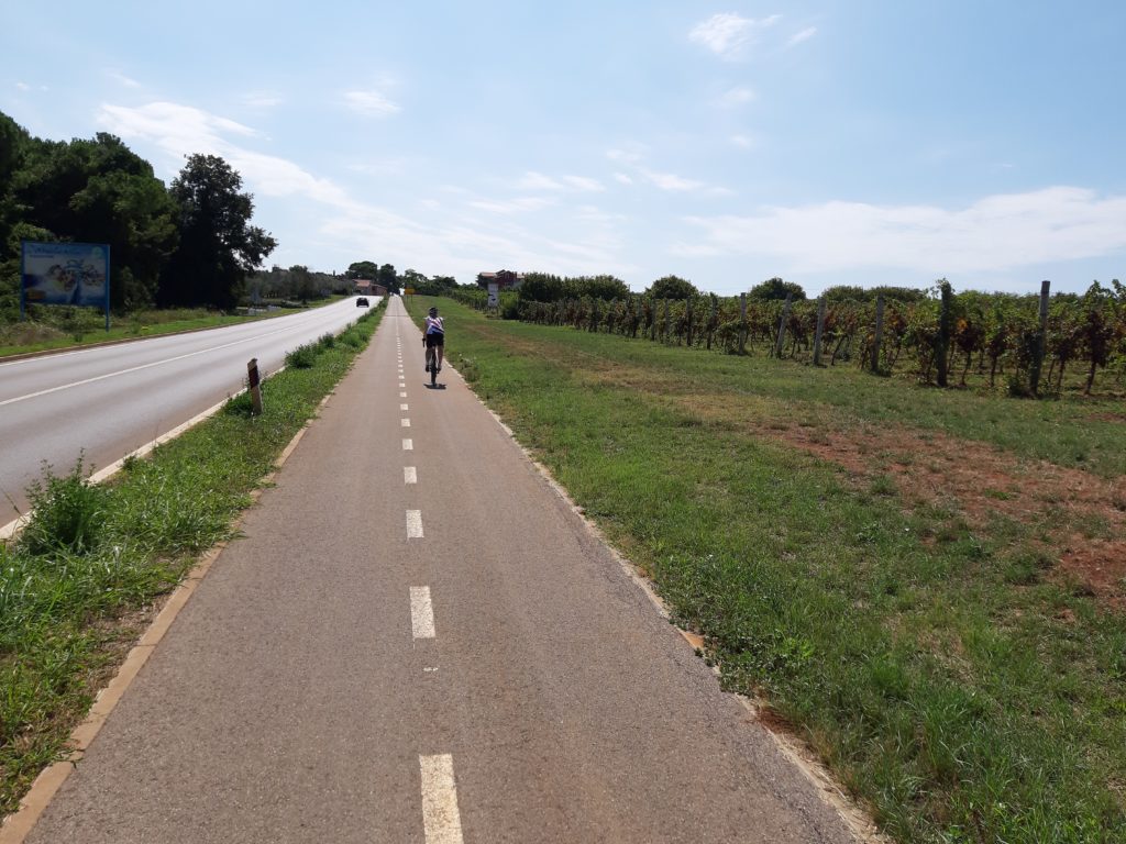 Ścieżka rowerowa poprowadzona wzdłuż winnicy w chorwackiej części Istrii