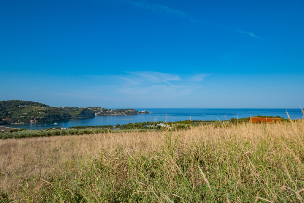 Wybrzeże Adriatyku - widok na Piran z miejscowości Strunjan